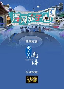 浔风赤子心封面图